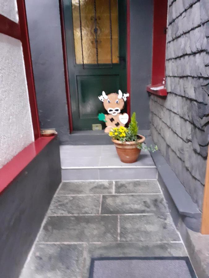 Hallerblick モンシャウ エクステリア 写真