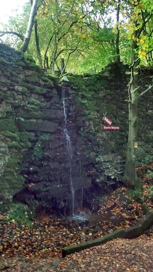 Hallerblick モンシャウ エクステリア 写真